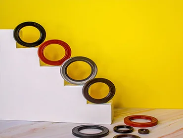 Oil Seals (Rotary Shaft Seals)