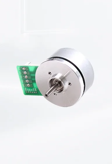 Brushless (BLDC) Motors