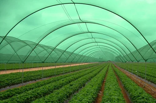 Shade Net