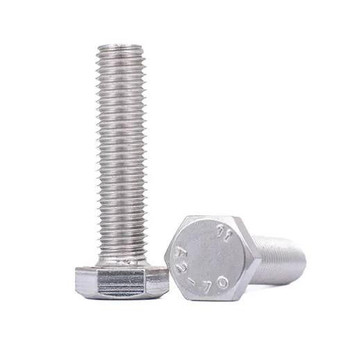 SS Bolts