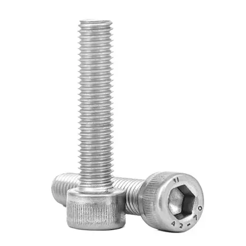 SS Machine Screws