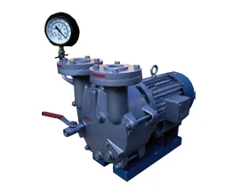 Direct Drive Water Ring Vacuum Pumps