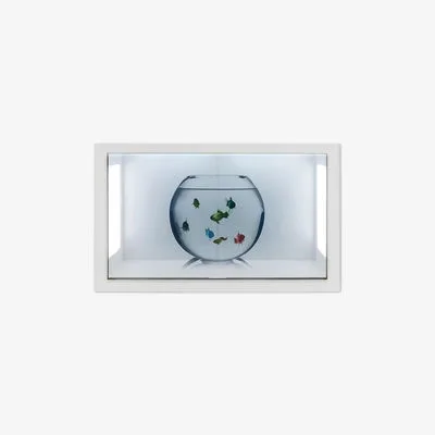Transparent LCD Display