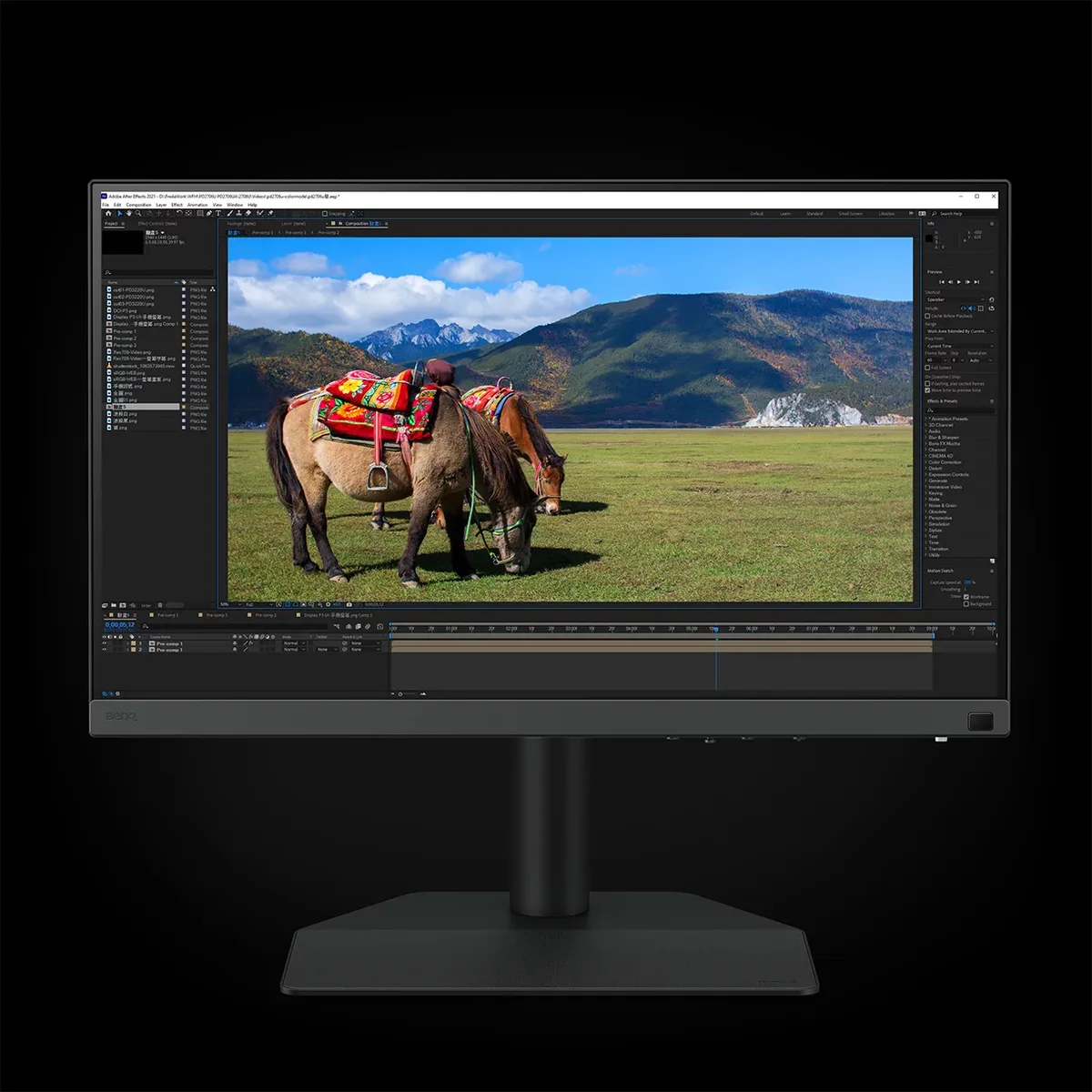 BenQ SW242Q Monitor