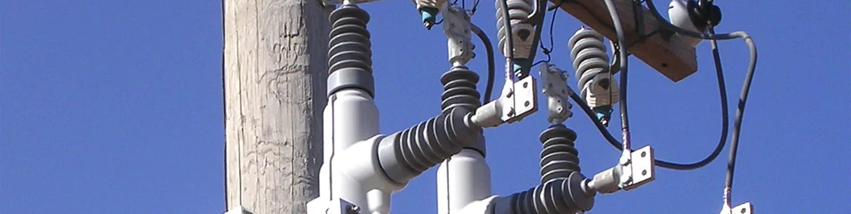 Reclosers and Overhead Switches