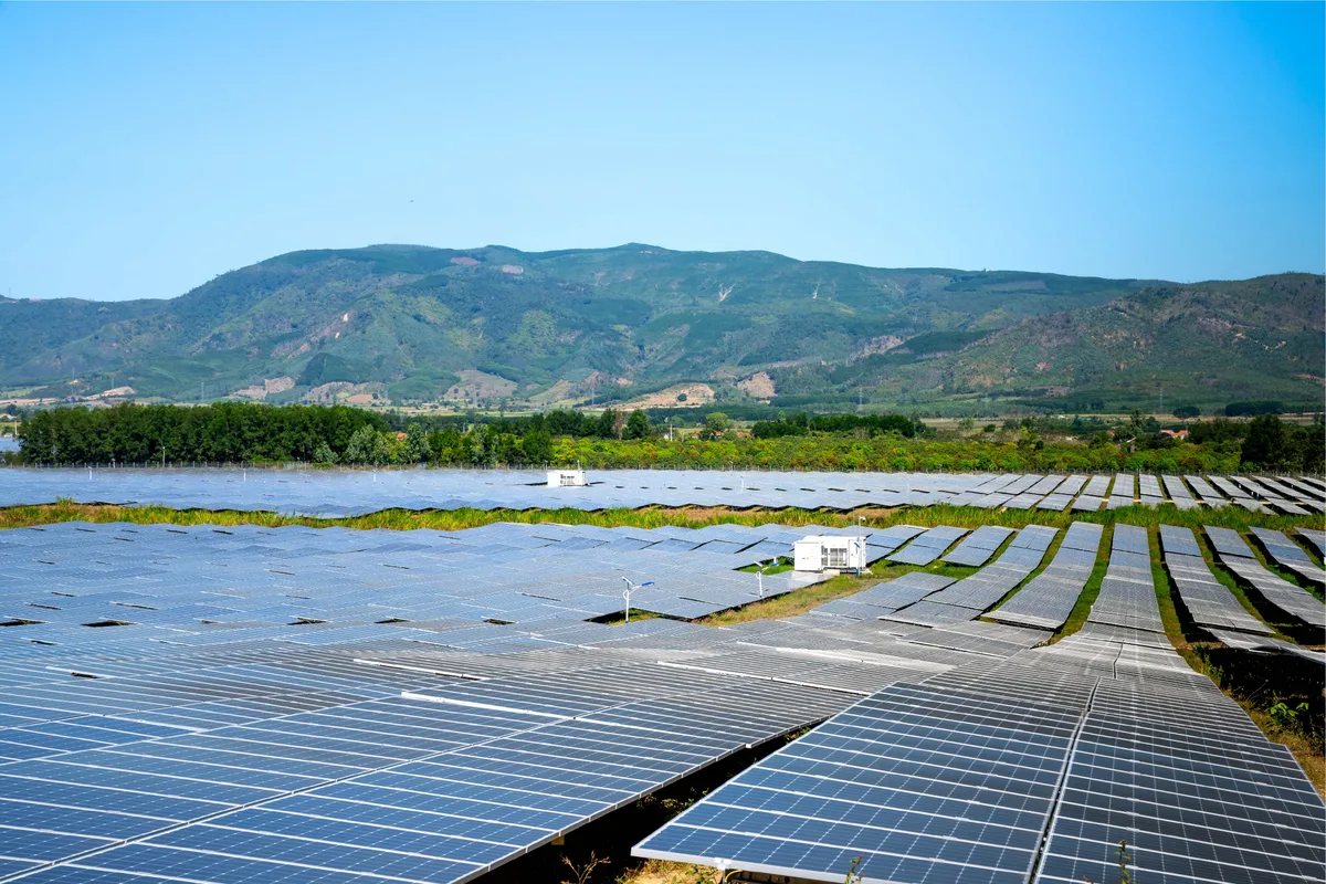 BO series backsheets