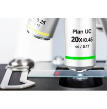 Compound and Stereo Microscopes (Education and Life Science)