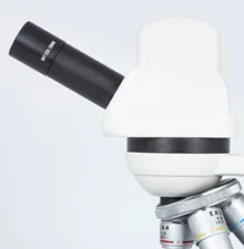 Digital Microscopes