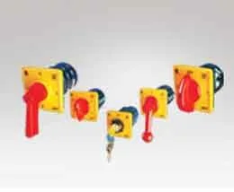 Cam Operated Rotary Switches