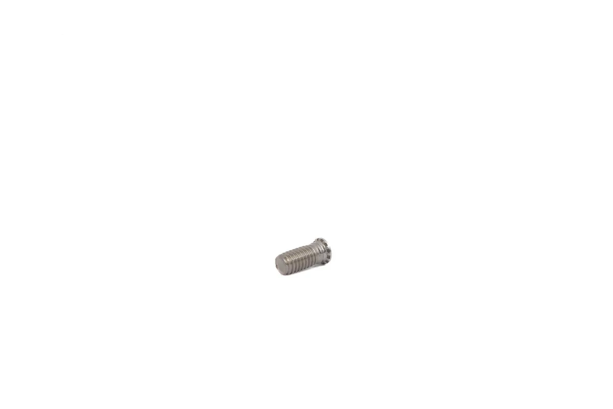 Clinch Bolt