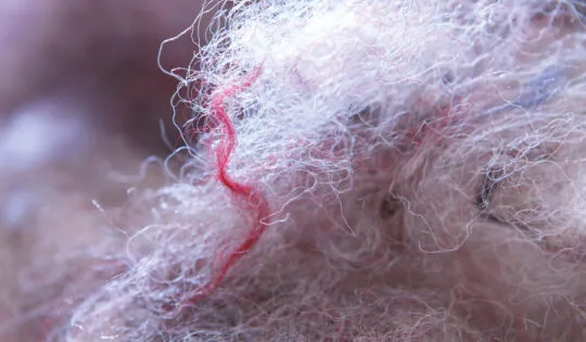Synthetic Recycled Fibres