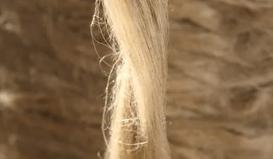 Flax Fibres